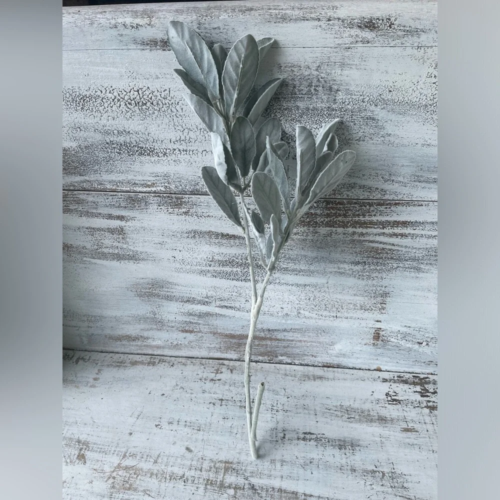 *Frosted Lamb’s Ear Spray, 26” One Spray